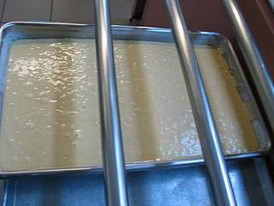 IMG_3100.jpg